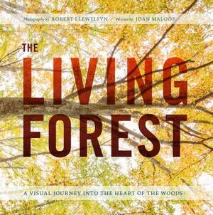 The Living Forest: A Visual Journey Into the Heart of the Woods by Robert Llewellyn, Joan Maloof