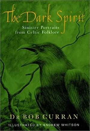 The Dark Spirit: Sinister Portraits from Celtic History by Bob Curran, Andrew Whitson