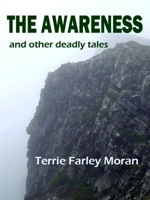 The Awareness by Terrie Farley Moran