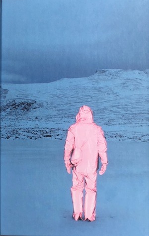 Dark Mountain: Issue 11 by Cate Chapman, Nick Hunt, Steve Wheeler