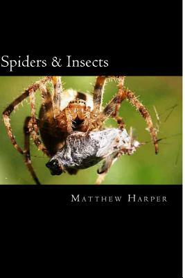 Spiders & Insects: Two Fascinating Books Combined Together Containing Facts, Trivia, Images & Memory Recall Quiz: Suitable for Adults & C by Matthew Harper