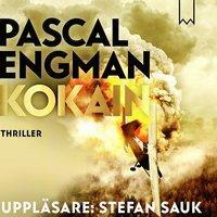 Kokain (Vanessa Frank, #4) by Pascal Engman