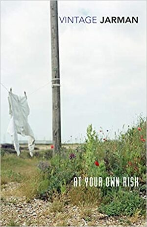 At Your Own Risk: A Saint's Testament by Derek Jarman