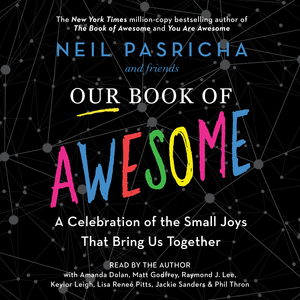 Our Book of Awesome: A Celebration of the Small Joys That Bring Us Together by Neil Pasricha