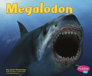 Megalodon by Janet Riehecky