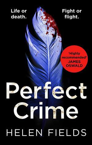 Perfect Crime by Helen Sarah Fields
