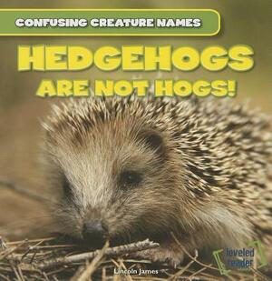 Hedgehogs Are Not Hogs! by Lincoln James