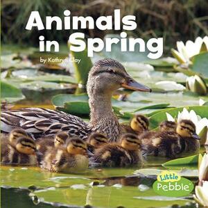 Animals in Spring by Kathryn Clay