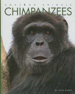 Chimpanzees by Kate Riggs