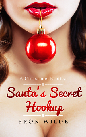 Santa's Secret Hookup by Bron Wilde