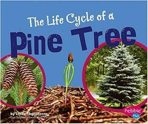 The Life Cycle of a Pine Tree by Linda Tagliaferro