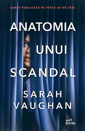 Anatomia unui scandal by Dana-Ligia Ilin, Sarah Vaughan