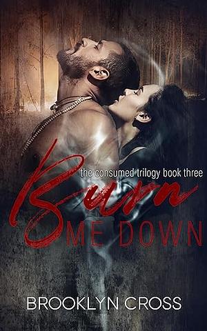 Burn Me Down by Brooklyn Cross