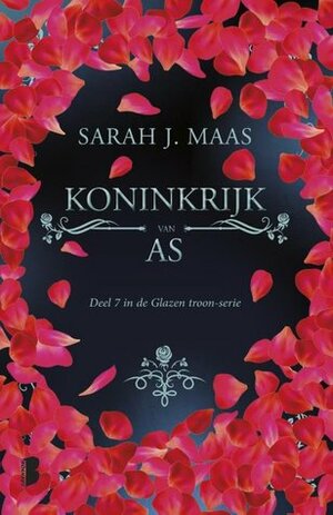 Koninkrijk van As by Sarah J. Maas