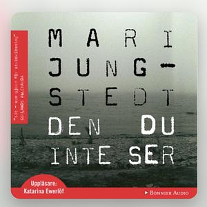 Den du inte ser by Mari Jungstedt