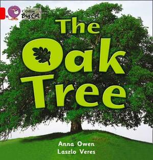 The Oak Tree Workbook by Anna Owen