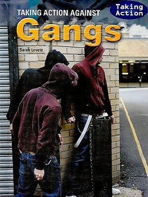 Taking Action Against Gangs by Sarah Levete