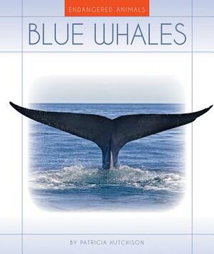 Blue Whales by Patricia Hutchison