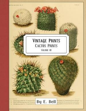 Vintage Prints: Cactus Prints by E. Bell