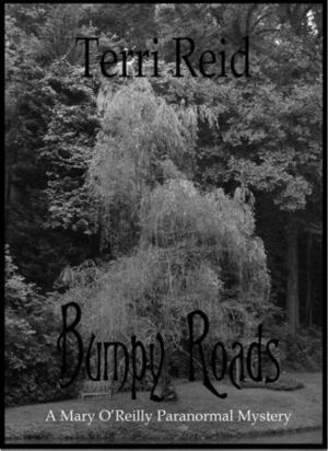 Bumpy Roads by Terri Reid