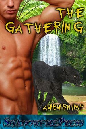 The Gathering by Auburnimp