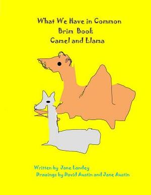 Camel and Llama: What We Have in Common Brim Book by 