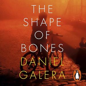 The Shape of Bones by Daniel Galera