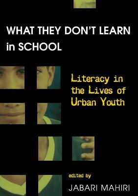 What They Don't Learn in School: Literacy in the Lives of Urban Youth by 