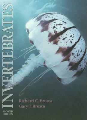 Invertebrates by Gary J. Brusca, Nancy J. Haver, Richard C. Brusca