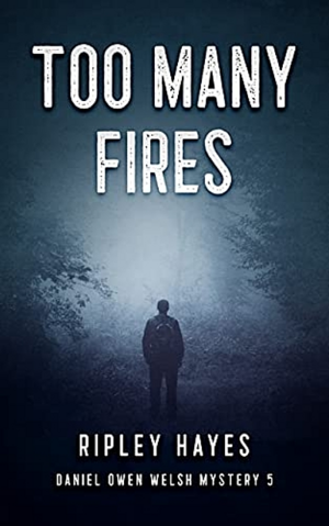 Too Many Fires by Ripley Hayes