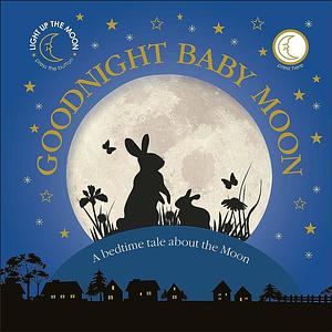 Goodnight Baby Moon by James Mitchem, D.K. Publishing