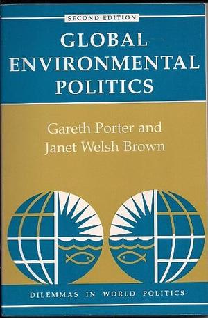 Global Environmental Politics: Second Edition by Janet Welsh Brown, Gareth Porter