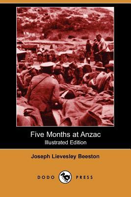 Five Months at Anzac by Joseph Lievesley Beeston