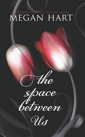 The Space Between Us by Megan Hart