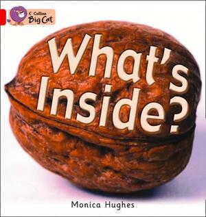 What's Inside? Workbook by Monica Hughes