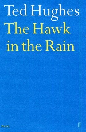 The Hawk in the Rain by Ted Hughes