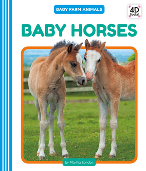 Baby Horses by Martha London