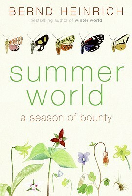 Summer World: A Season of Bounty by Bernd Heinrich