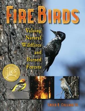 Fire Birds by Sneed B. Collard III