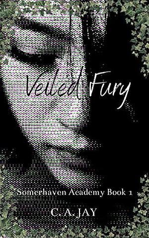 Veiled Fury by C.A. Jay