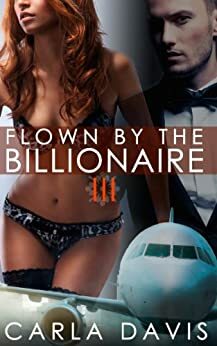 Flown By The Billionaire, Part III by Carla Davis