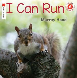 I Can Run by Murray Head