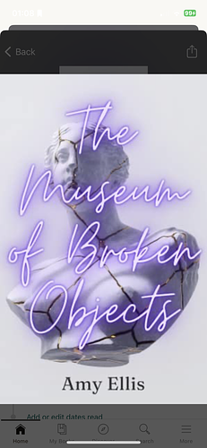 The Museum Of Broken Objects by Amy Ellis
