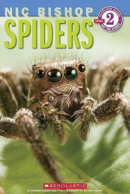 Spiders by Nic Bishop