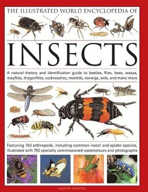 The Illustrated World Encyclopedia of Insects: A Natural History and Identification Guide to Beetles, Flies, Bees, Wasps, Springtails, Mayflies, Stoneflies, Dragonflies, Damselflies, Cockroaches, Mantes, Earwigs, Stick and Leaf Insects, Bristletails, D... by Martin Walters
