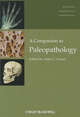 Companion to Paleopathology by 