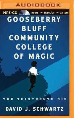 Gooseberry Bluff Community College of Magic by David J. Schwartz