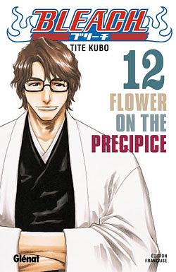 Bleach, Tome 12: Flower on the Precipice by Tite Kubo