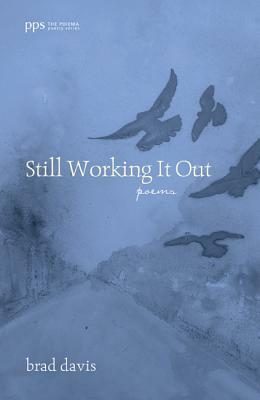 Still Working It Out by Brad Davis