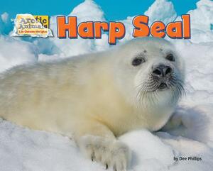 Harp Seal by Dee Phillips